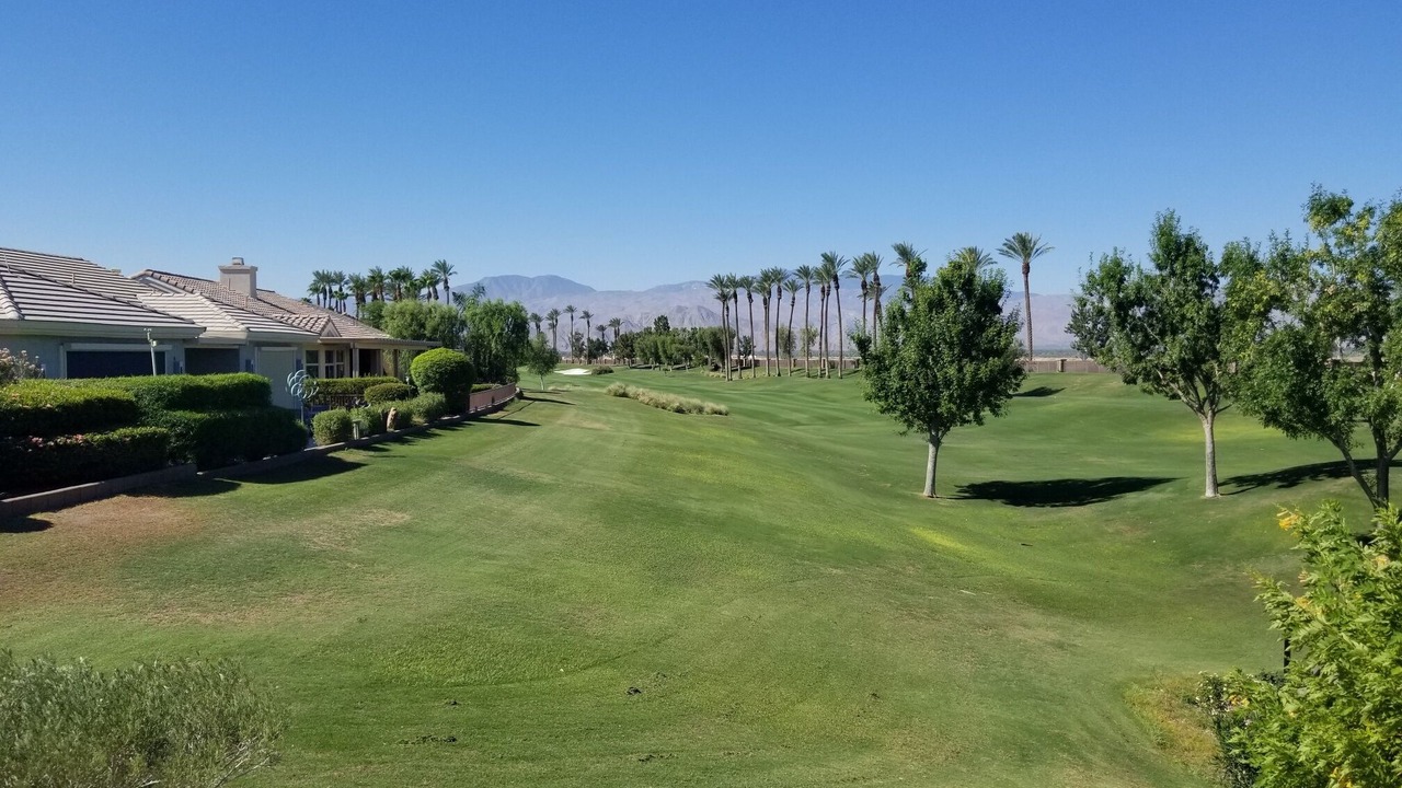 Photo of Others in Desert Palms