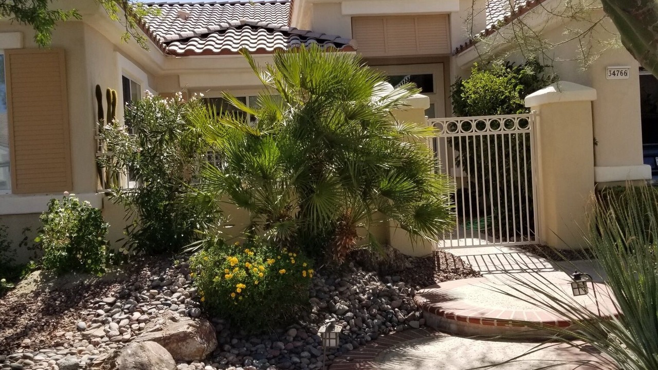 Photo of Others in Desert Palms