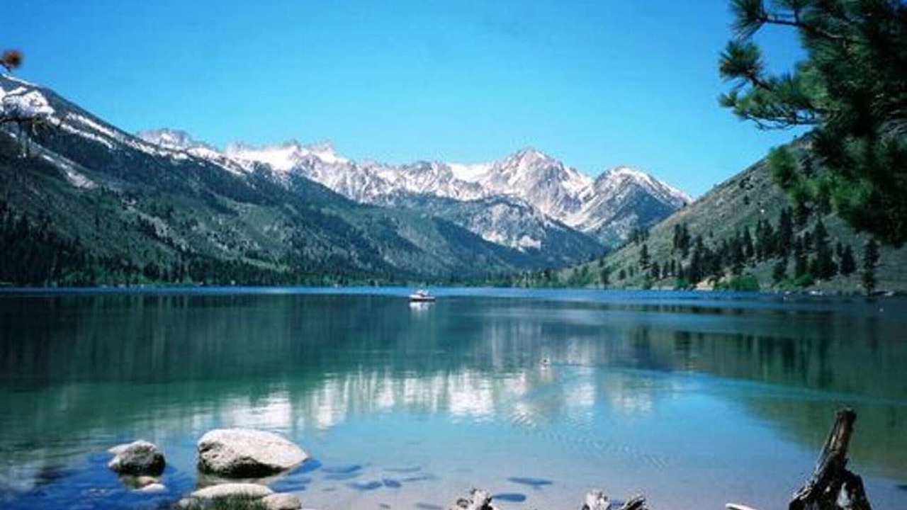 Photo of Others in Walker