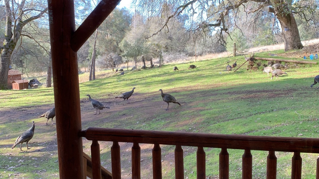 Photo of Others in Columbia