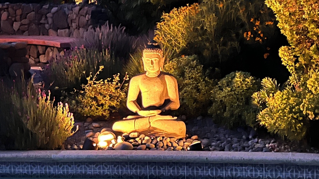 Photo of Others in Sonoma