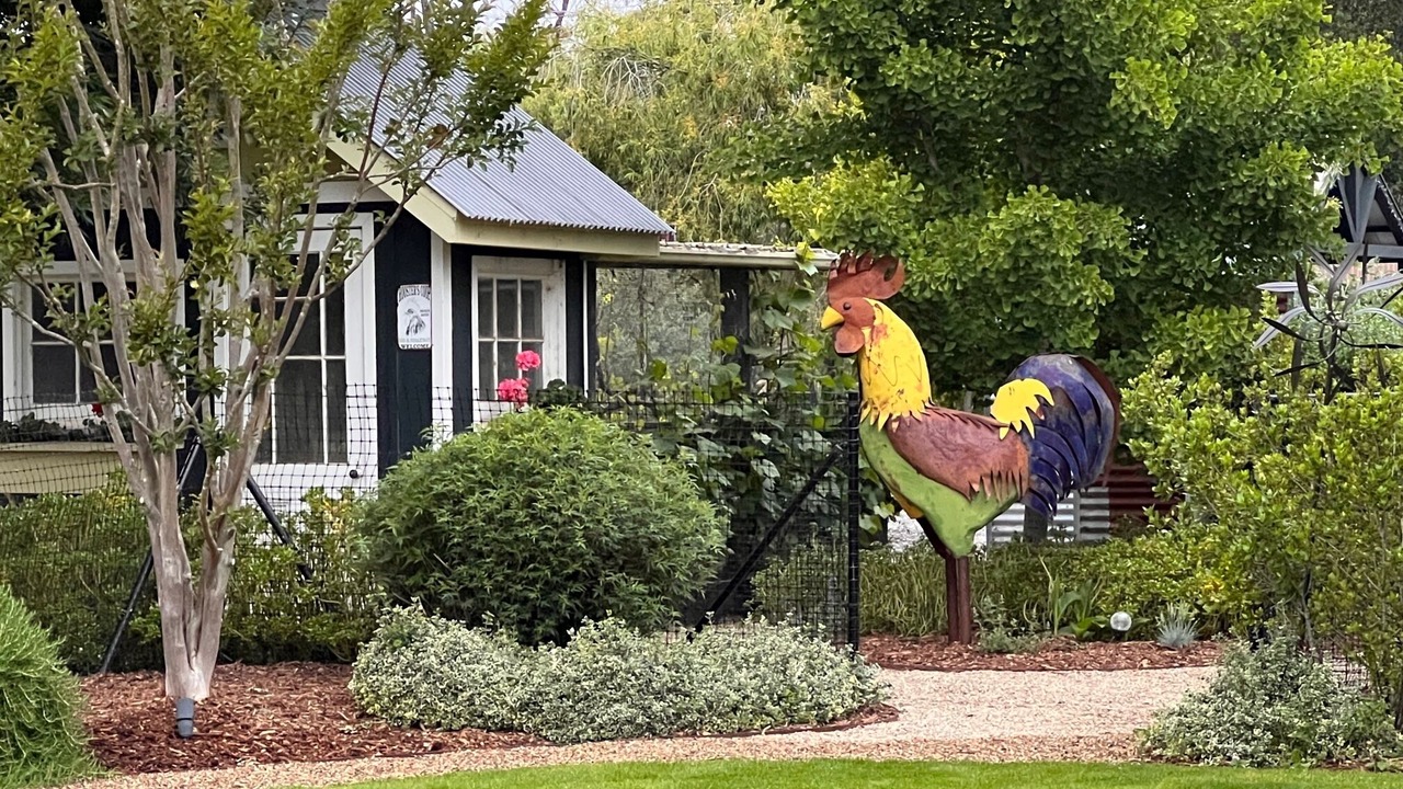 Photo of Others in Sonoma