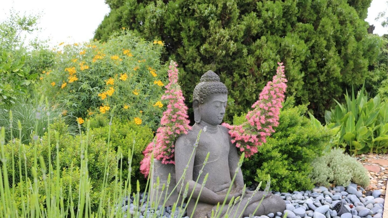 Photo of Outdoor in Sonoma
