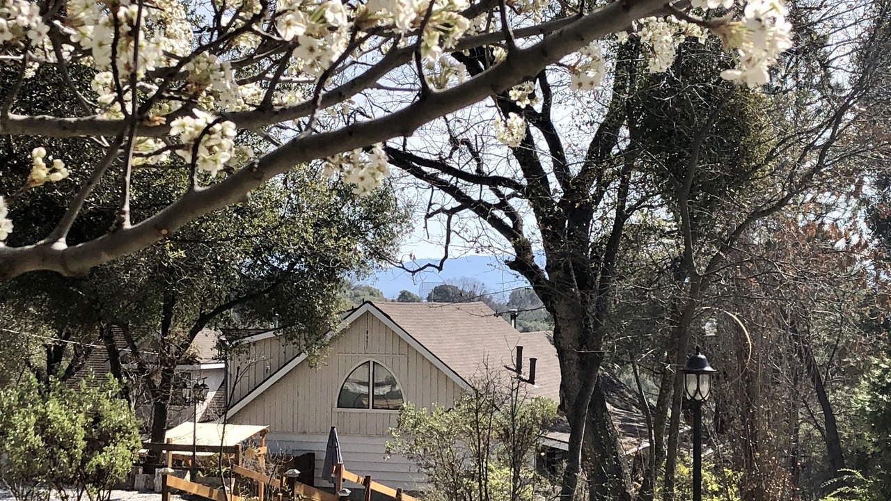 Photo of Others in Ahwahnee