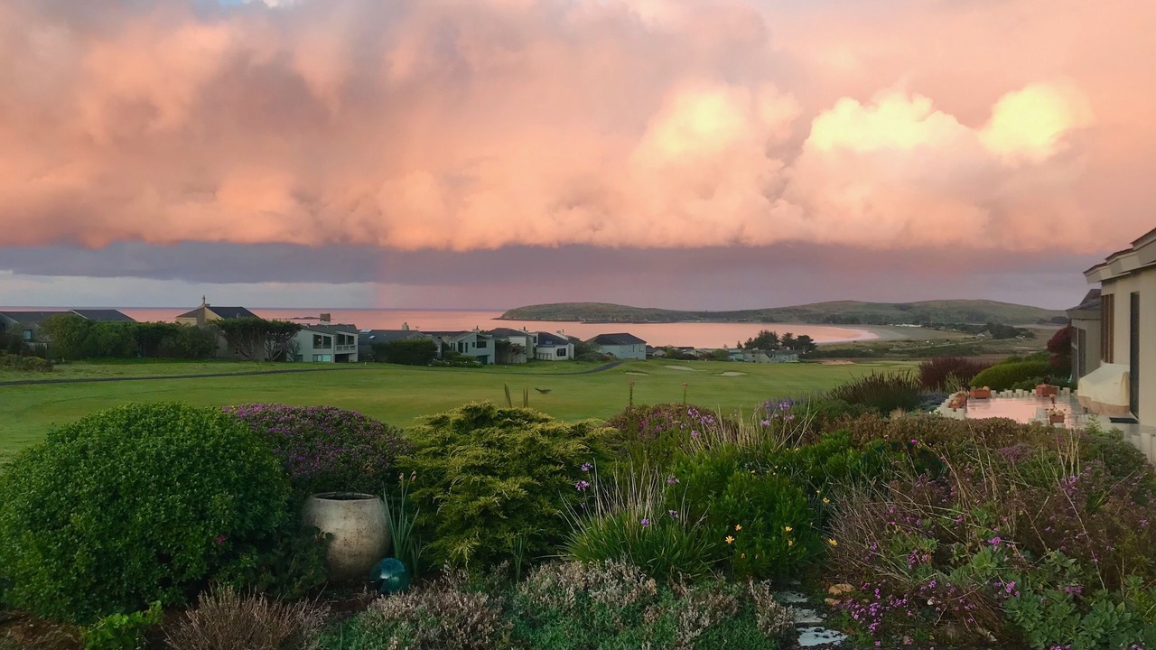 Photo of Outdoor in Bodega Bay