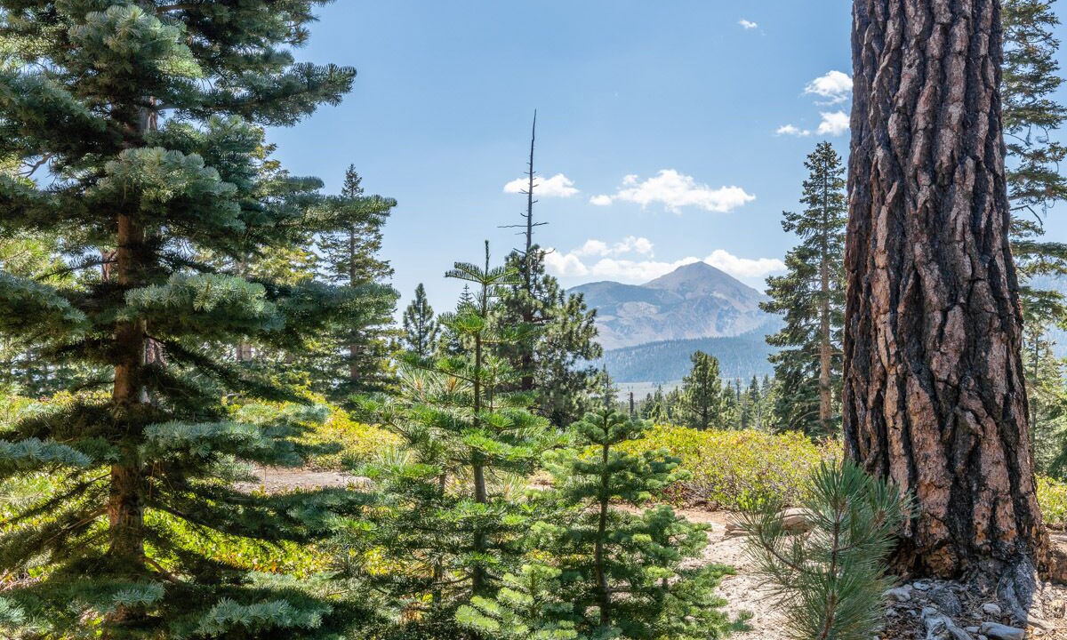 Photo of Outdoor in Mammoth Lakes