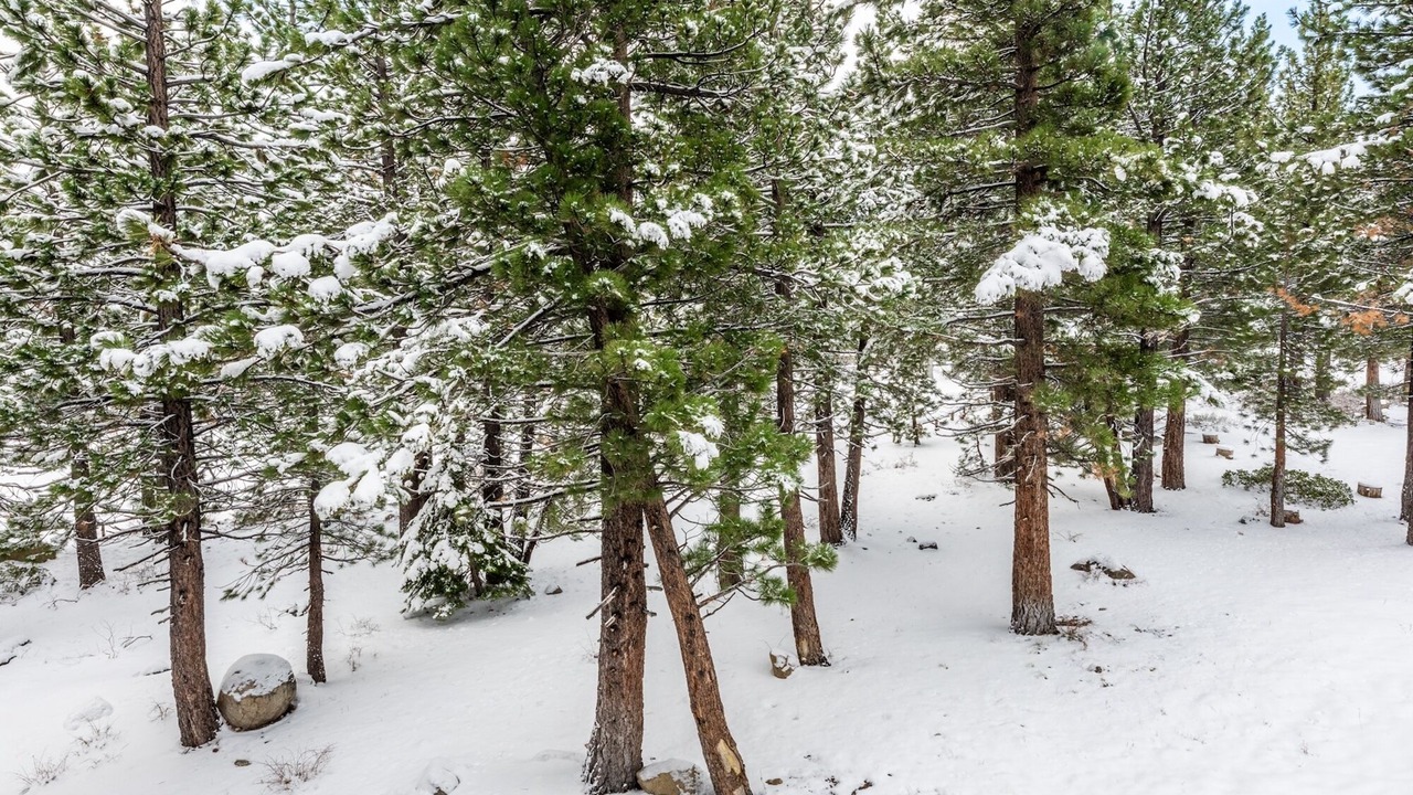 Photo of Others in Mammoth Lakes