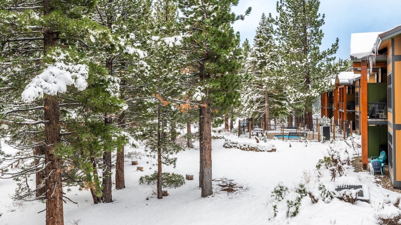 Photo of Outdoor in Mammoth Lakes