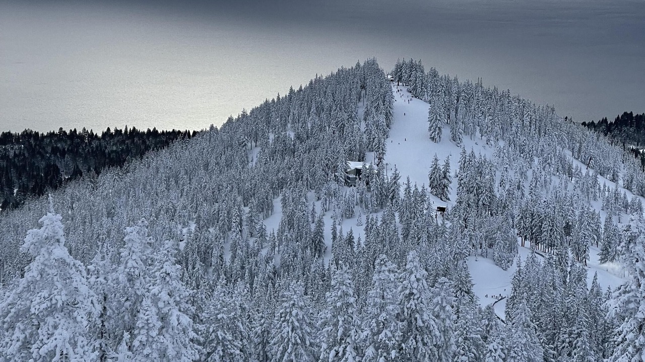 Photo of Others in Incline Village