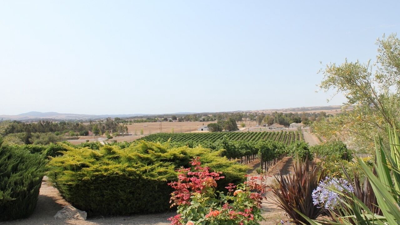 Photo of Others in Paso Robles