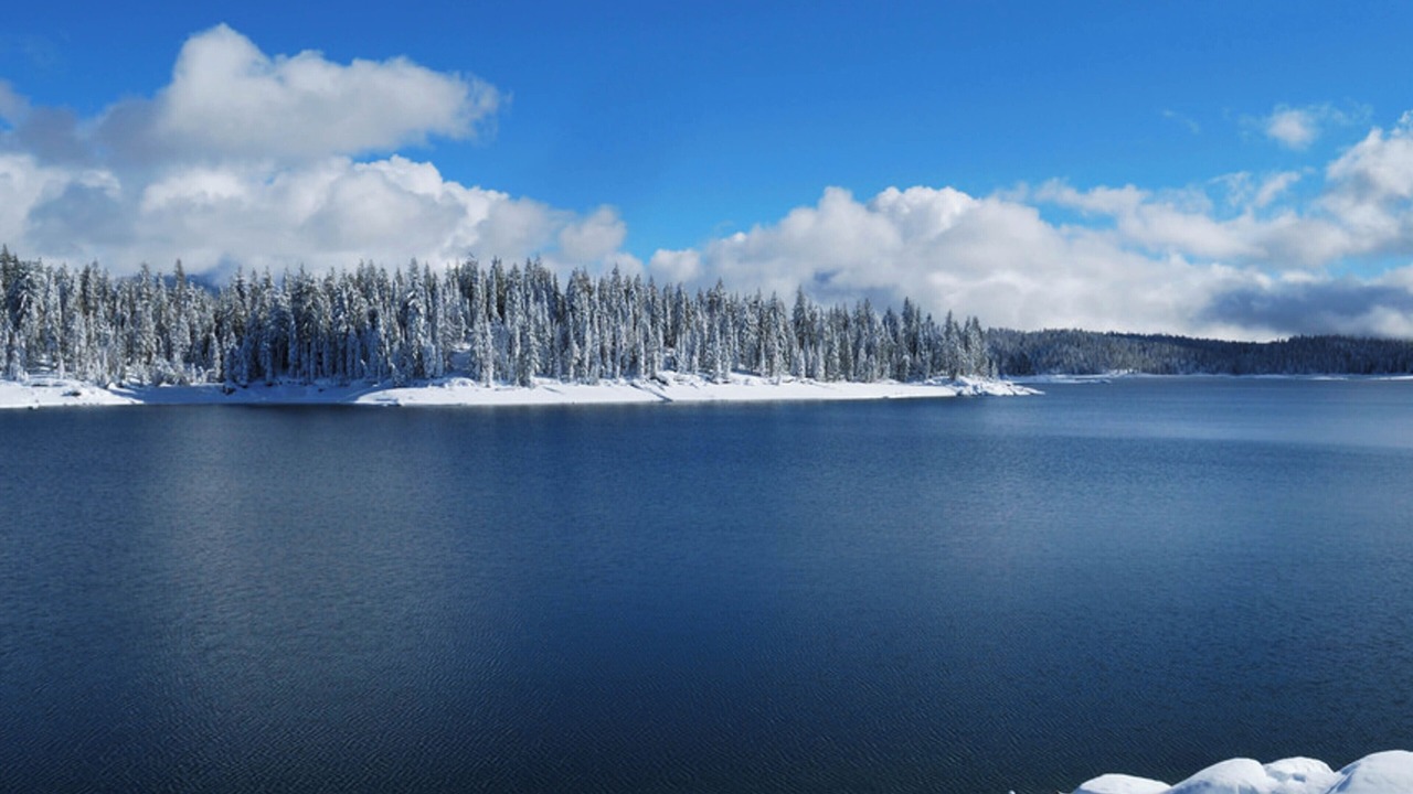 Photo of Others in Lakeshore