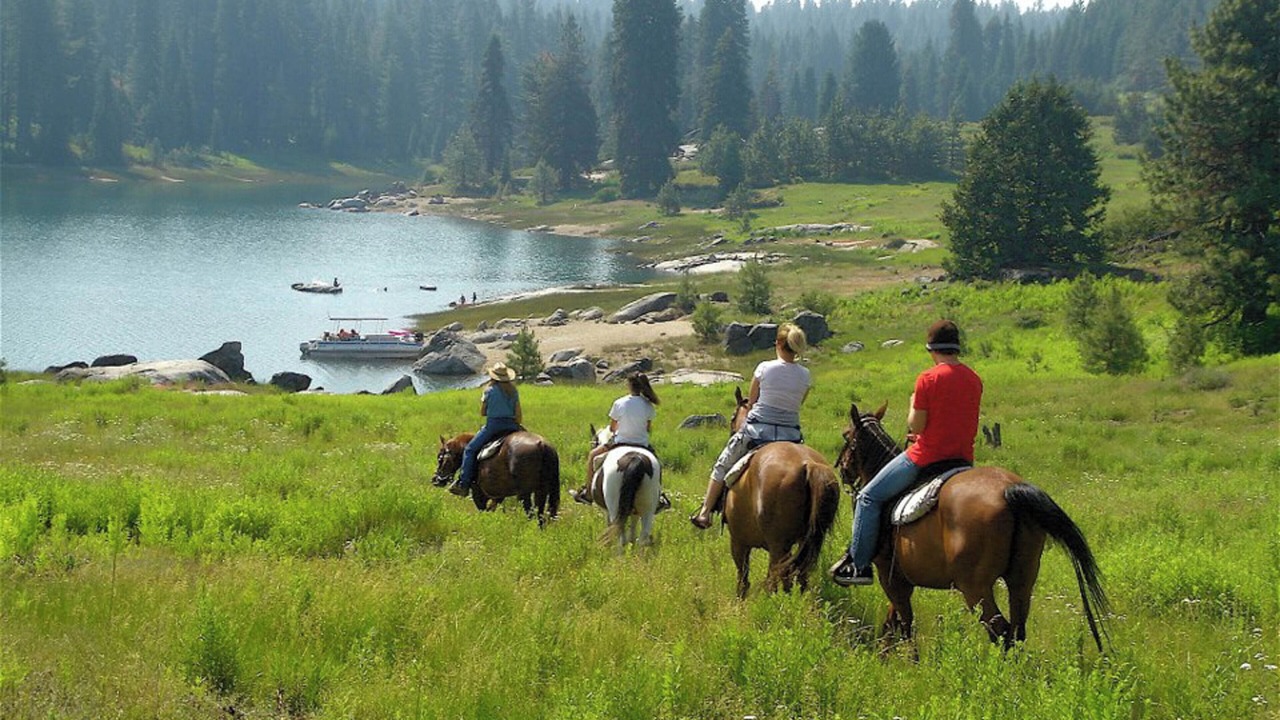 Photo of Others in Lakeshore