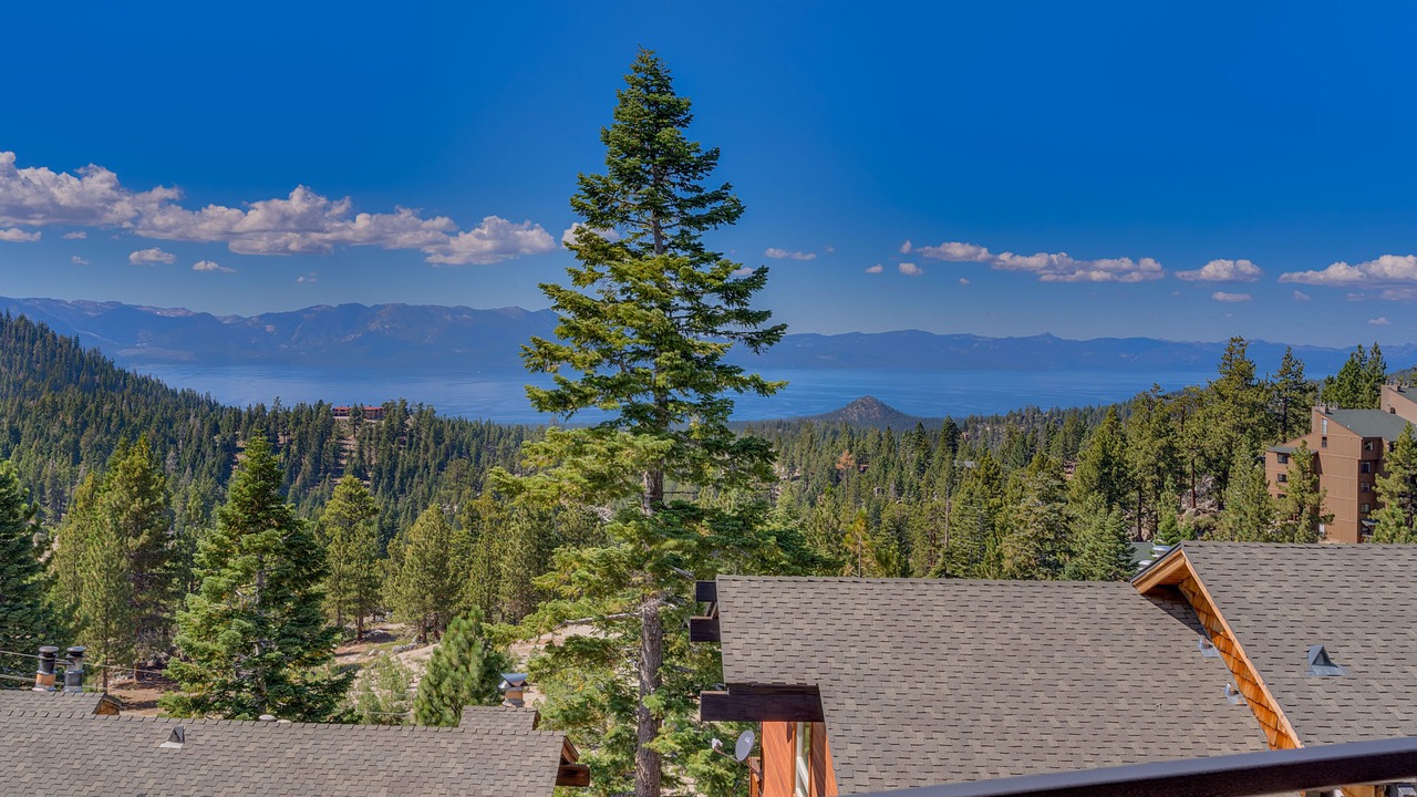 Photo of Outdoor in Tahoe Village