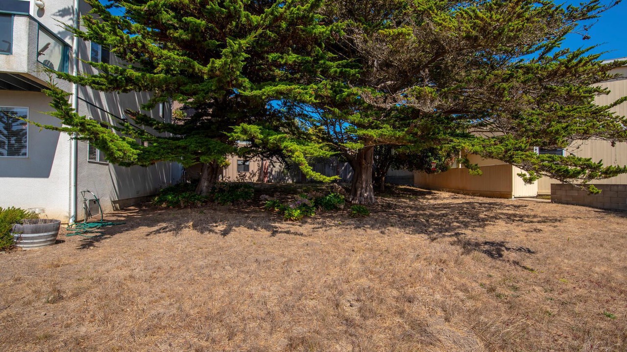 Photo of Outdoor in Marine Terrace
