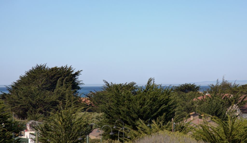 Photo of Others in Lighthouse District