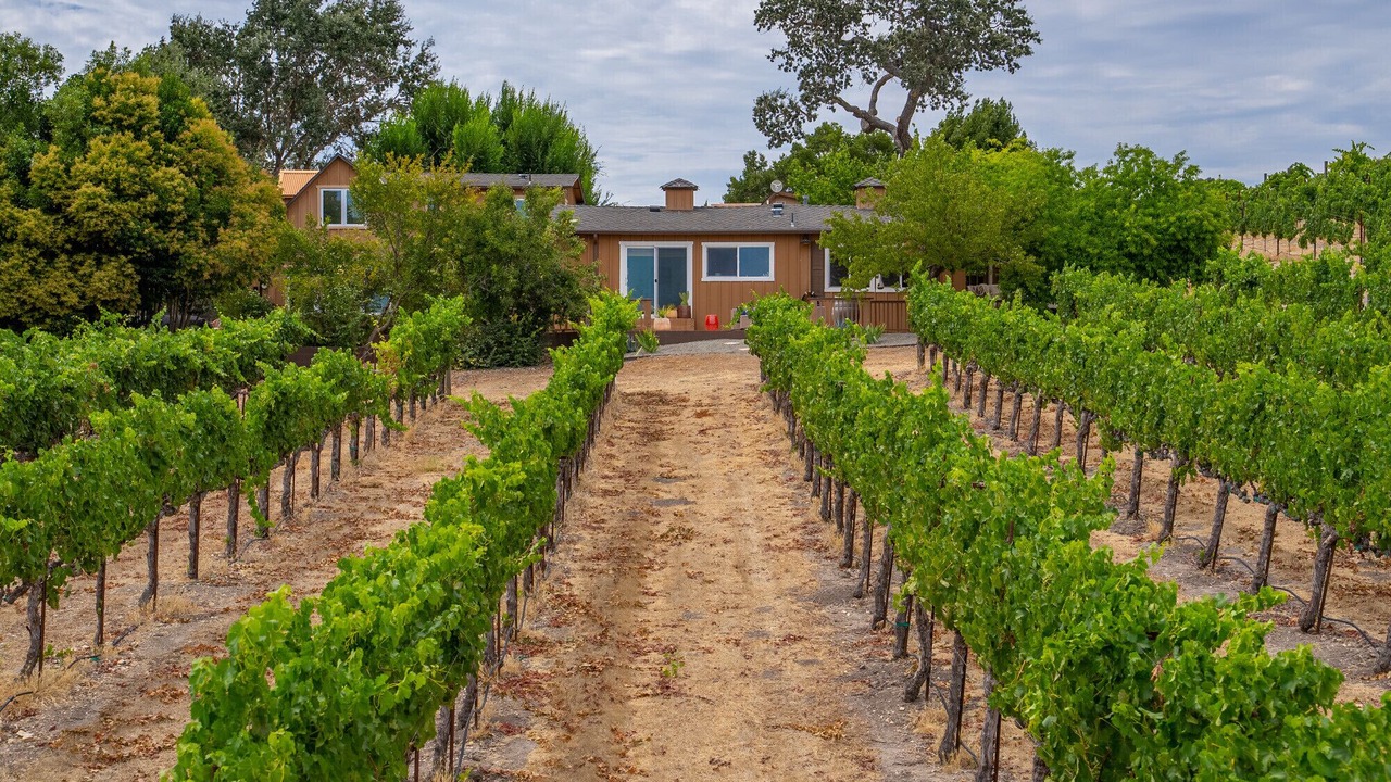Photo of Outdoor in Paso Robles