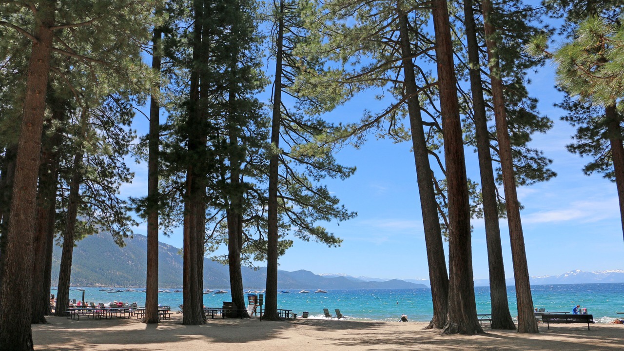 Photo of Others in Incline Village