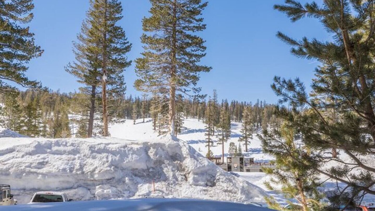 Photo of Others in Mammoth Lakes