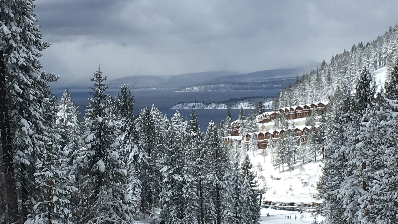 Photo of Others in Incline Village