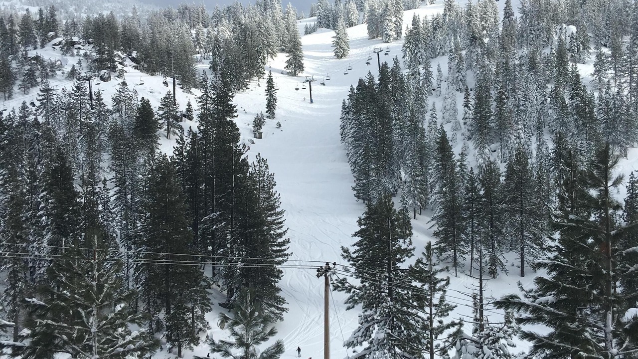 Photo of Others in Incline Village