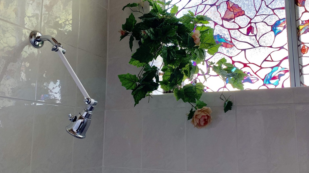 Photo of Bathroom in Lodi