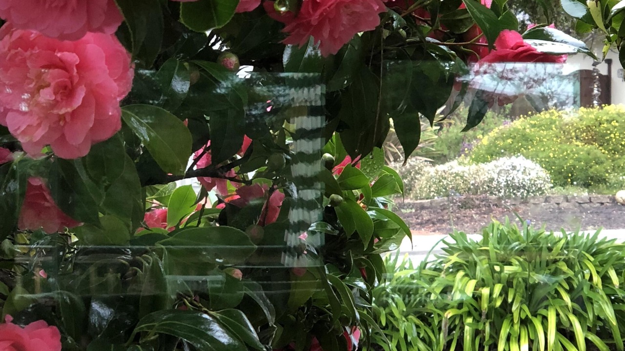 Photo of Outdoor in Rio del Mar