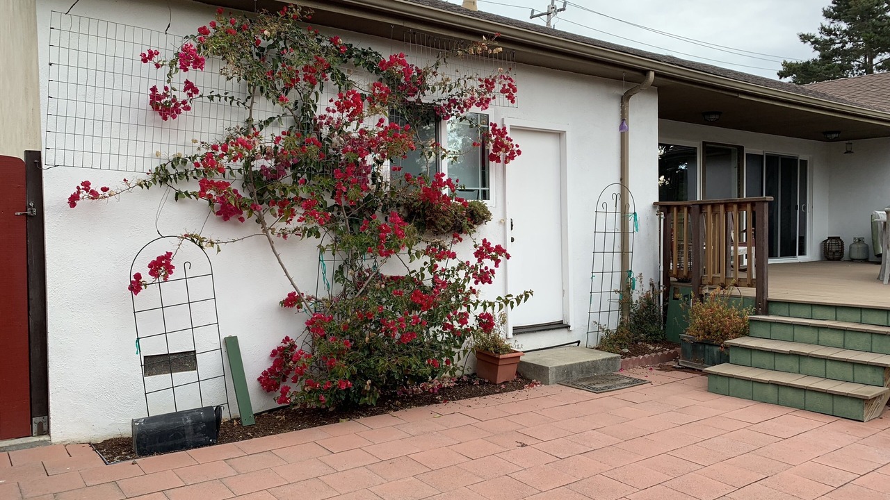 Photo of Outdoor in Rio del Mar
