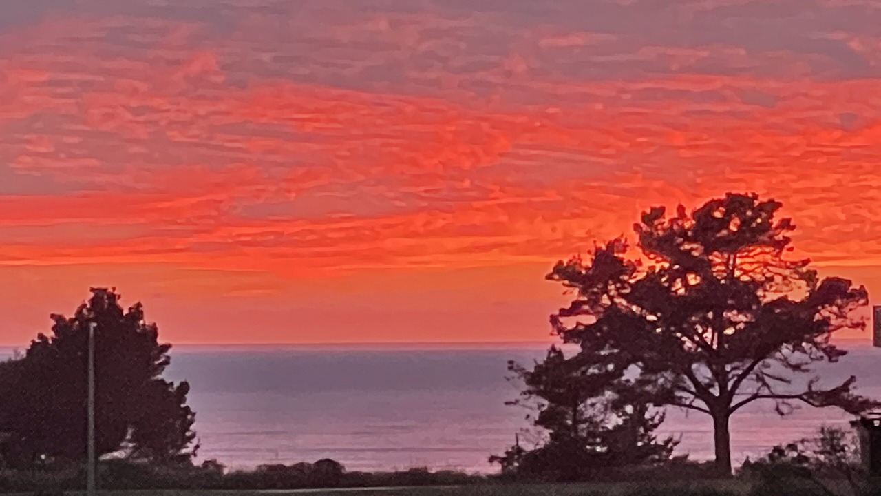 Photo of Others in Rio del Mar