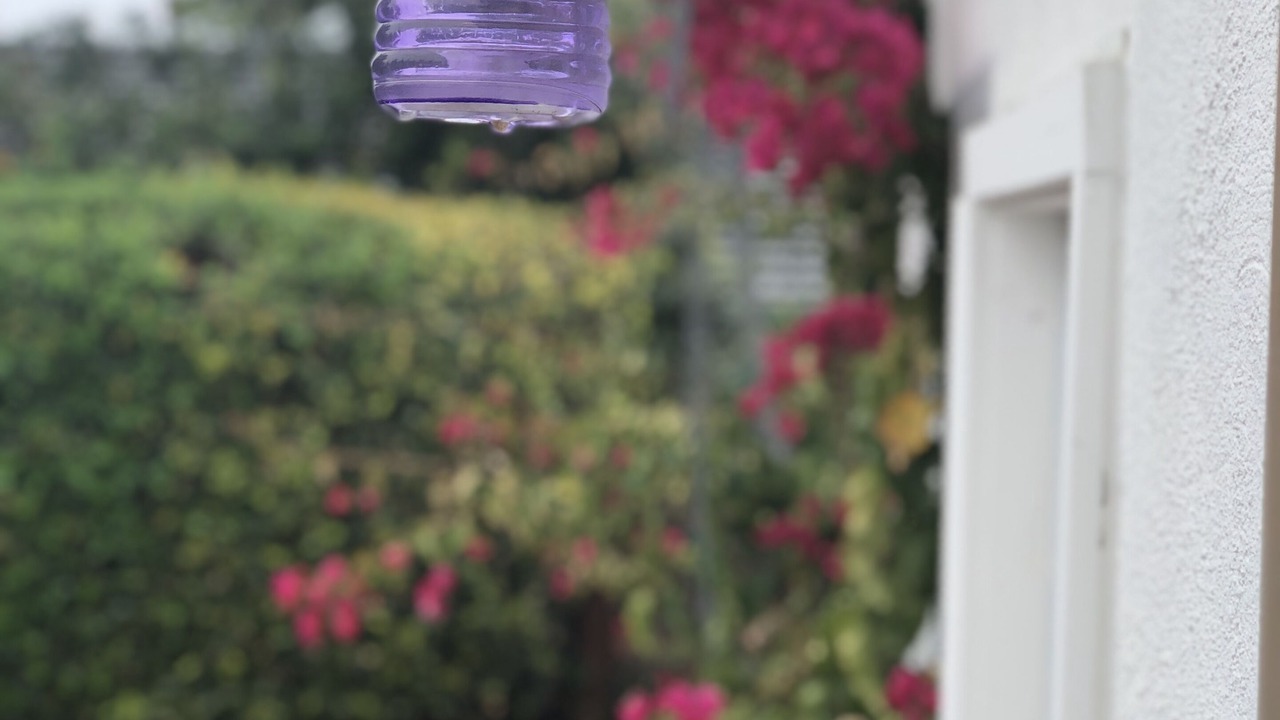 Photo of Outdoor in Rio del Mar