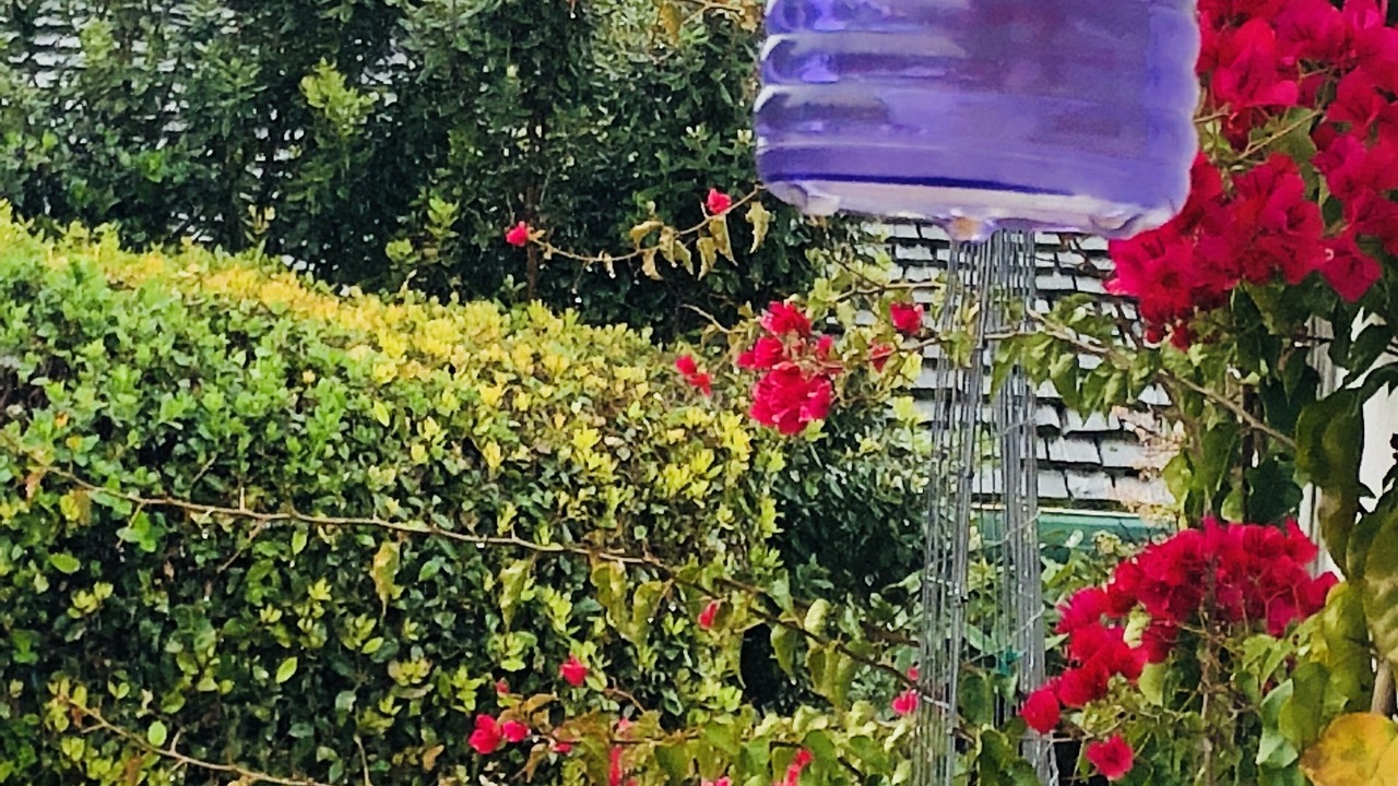 Photo of Outdoor in Rio del Mar