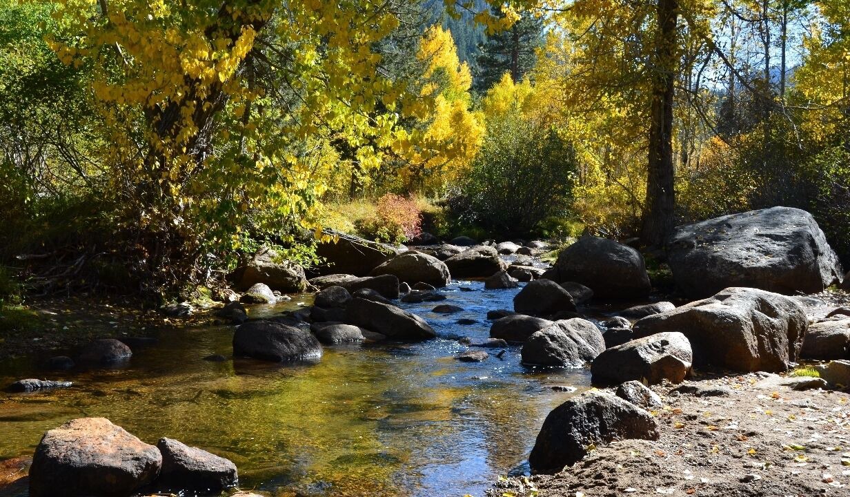 Photo of Others in Christmas Valley