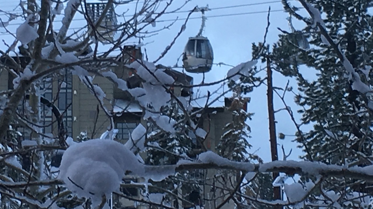 Photo of Others in Mammoth Lakes