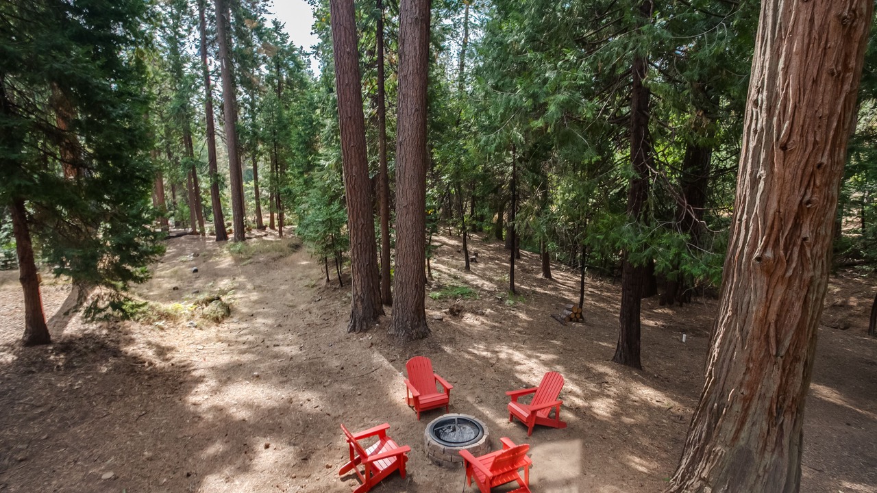 Photo of Outdoor in Twain Harte