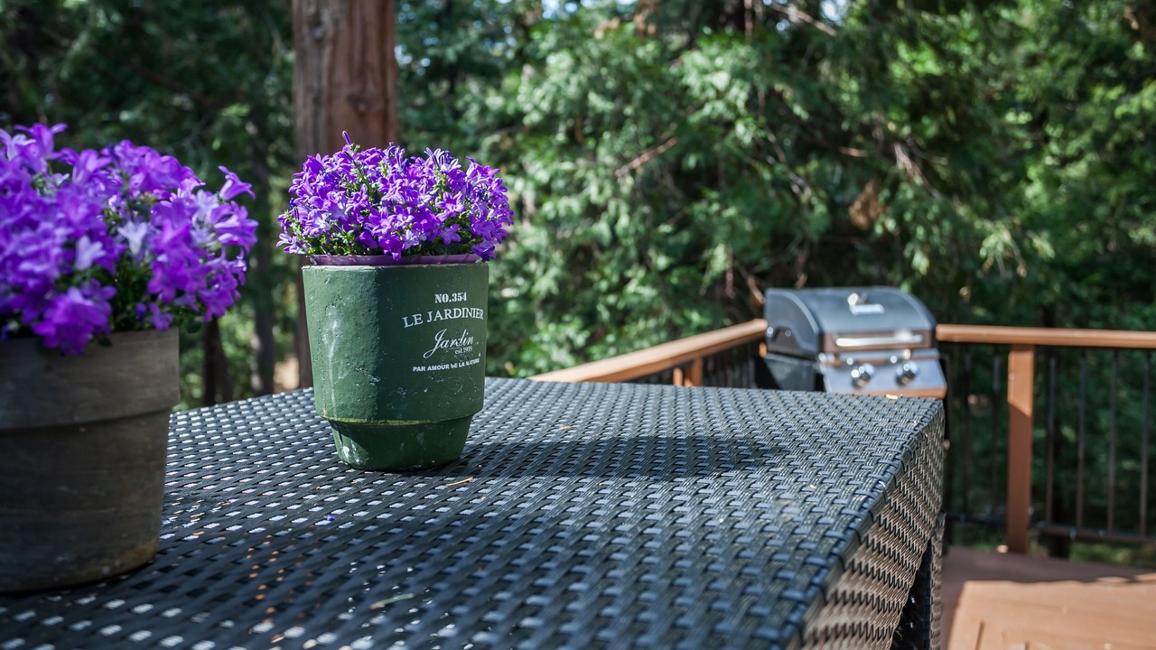 Photo of Outdoor in Twain Harte