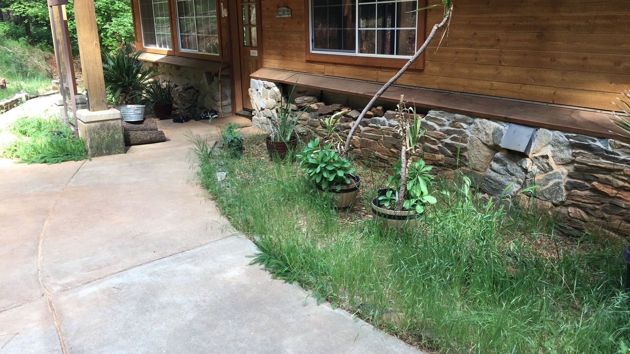 Photo of Outdoor in Foresthill
