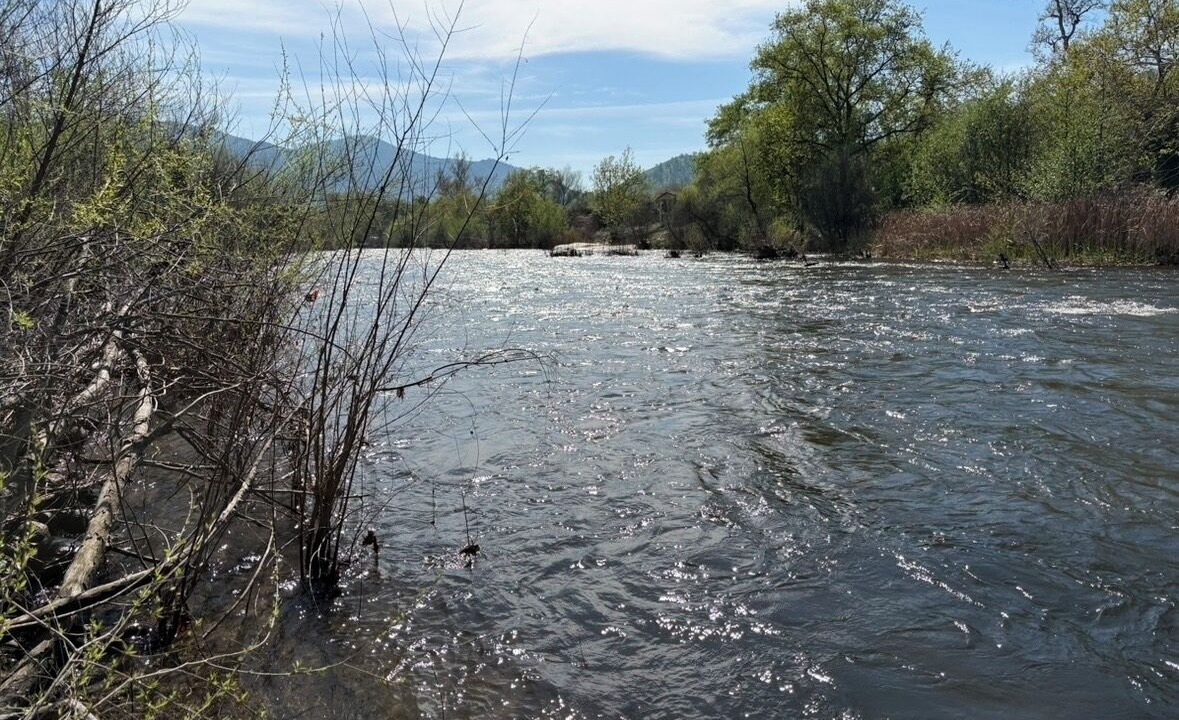 Photo of Others in Three Rivers