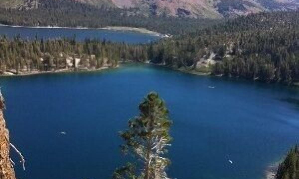 Photo of Others in Mammoth Lakes
