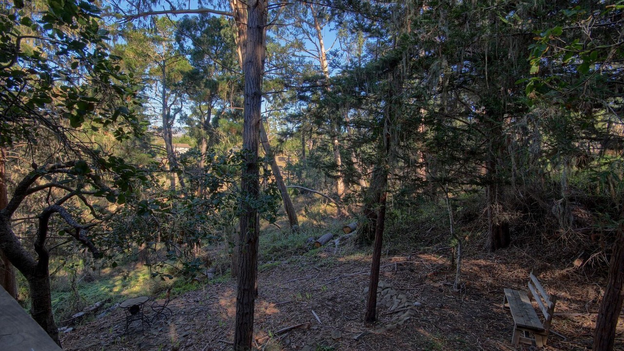 Photo of Outdoor in Lodge Hill