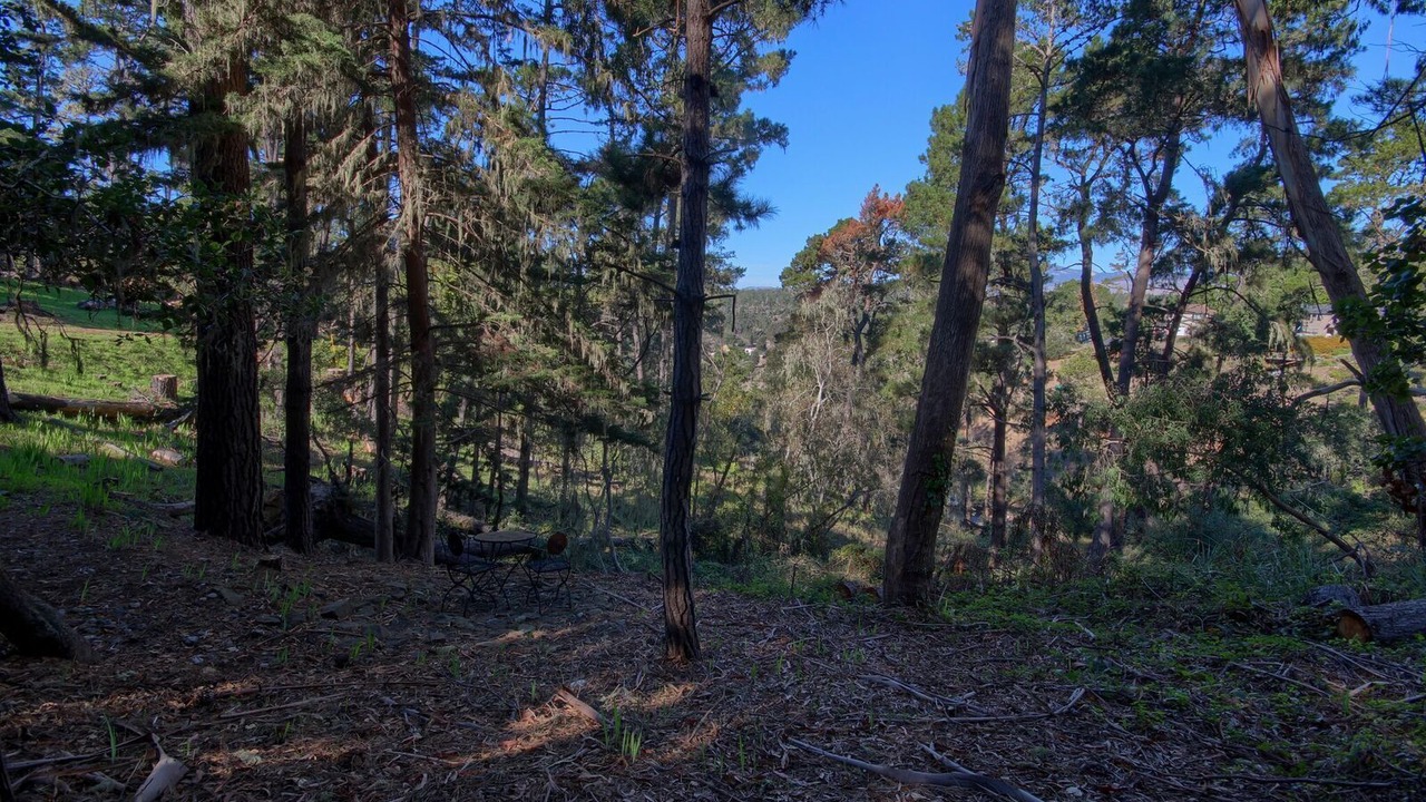 Photo of Outdoor in Lodge Hill