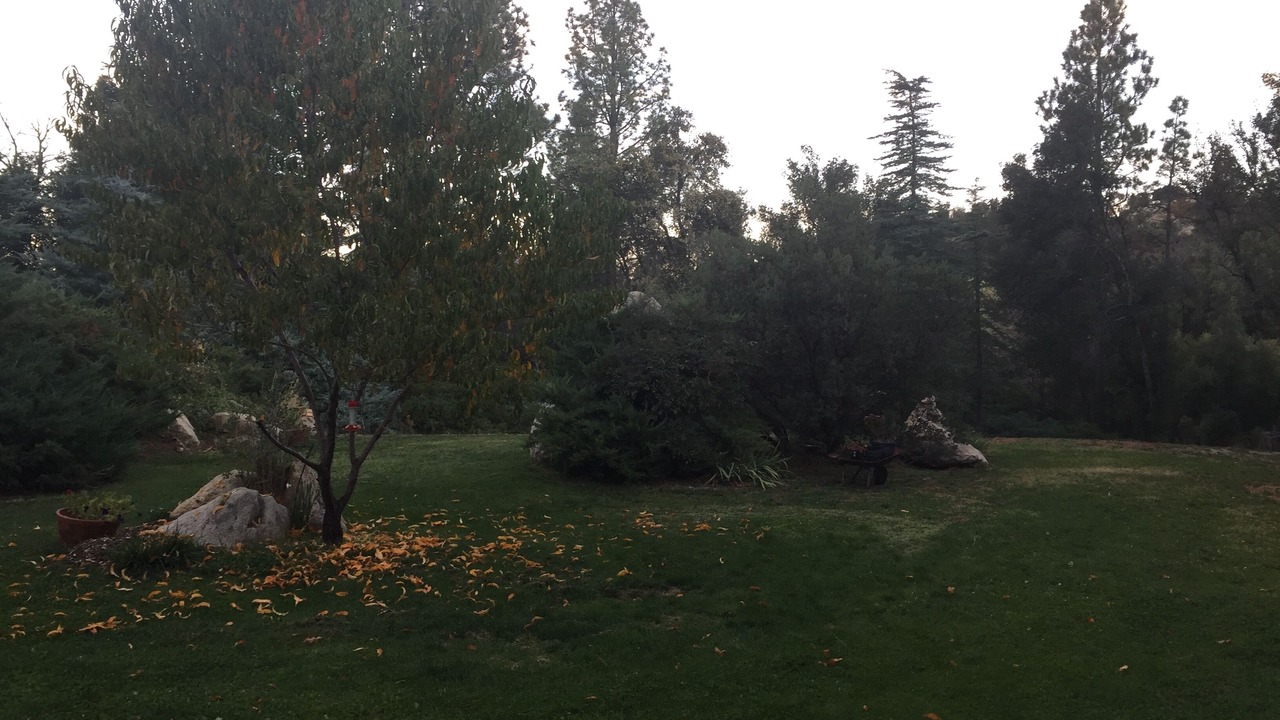Photo of Outdoor in Pine Valley