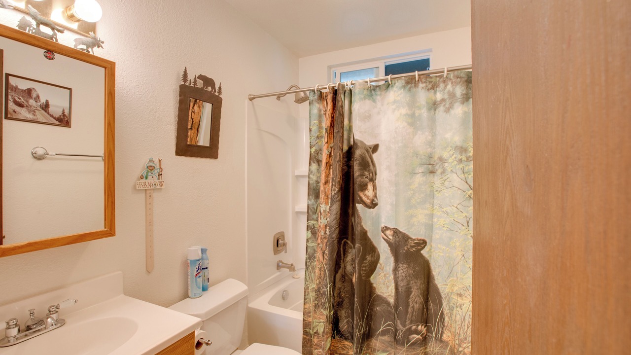 Photo of Bathroom in South Lake Tahoe