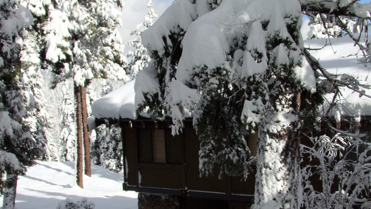 Photo of Outdoor in Tahoe City