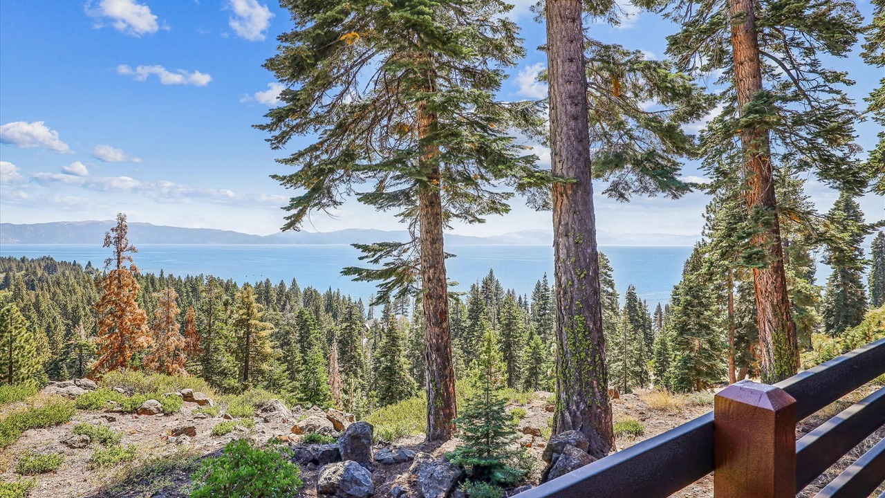 Photo of Others in Tahoe City