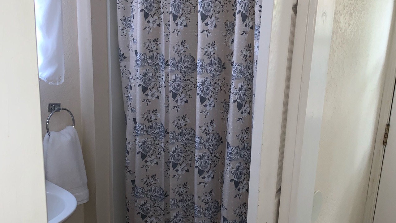 Photo of Bathroom in Tower District