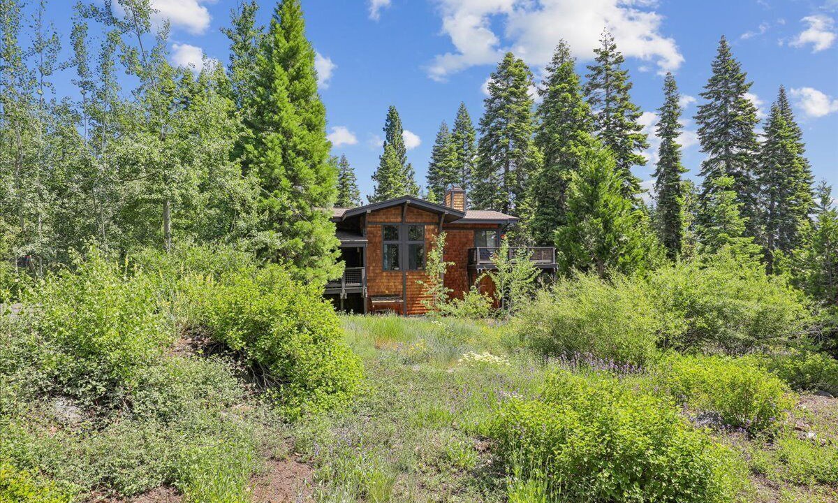 Photo of Outdoor in Tahoe City