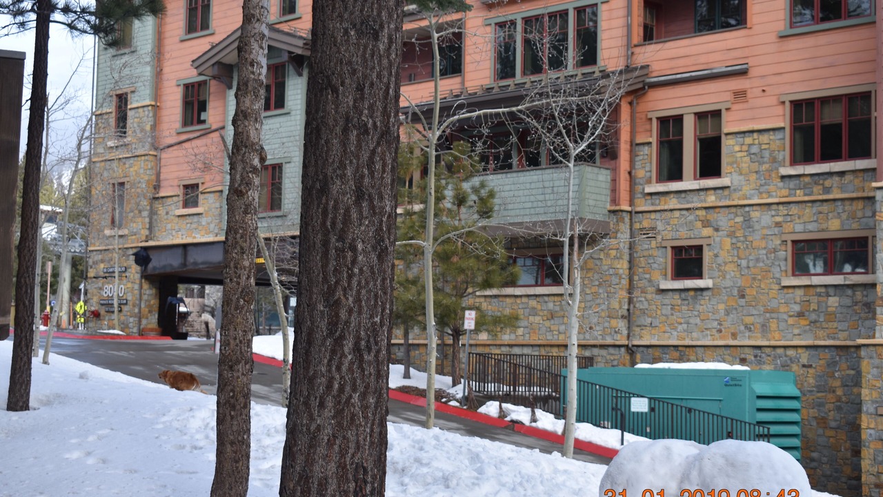 Photo of Others in Mammoth Lakes