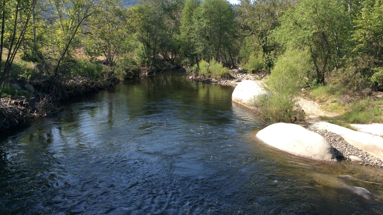 Photo of Others in Three Rivers