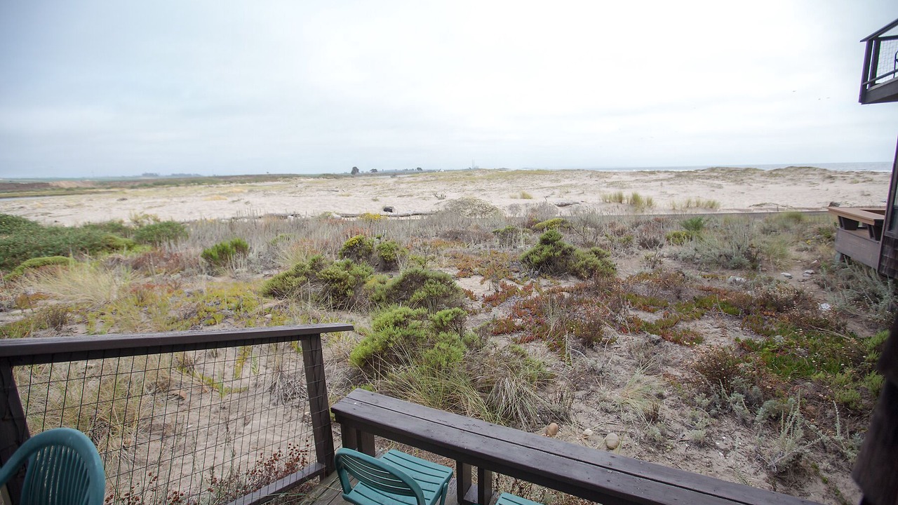 Photo of Outdoor in Watsonville