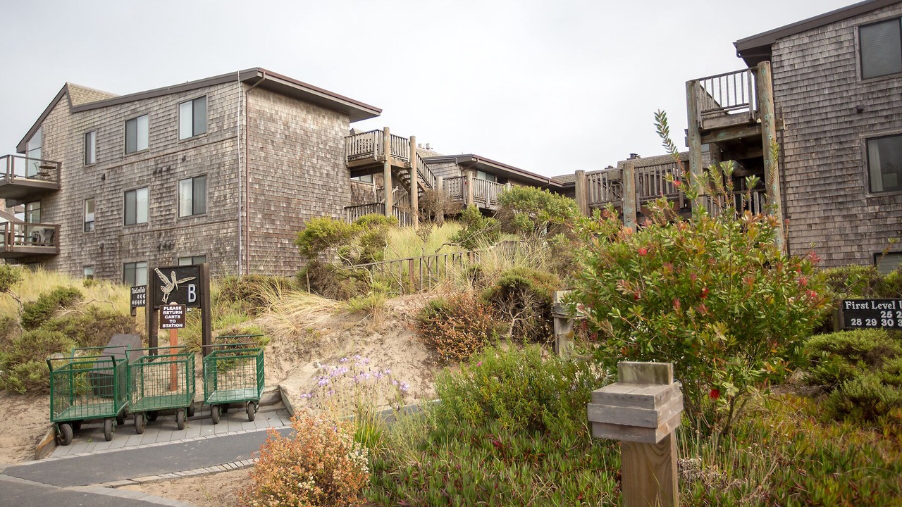 Photo of Outdoor in Watsonville