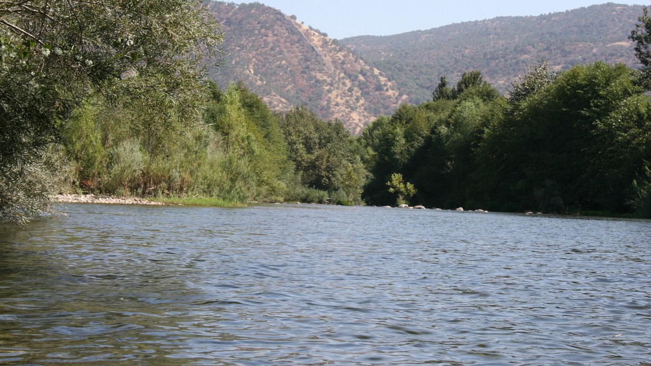 Photo of Others in Three Rivers